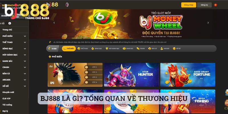 Tổng Quan Về Thương Hiệu Bj888