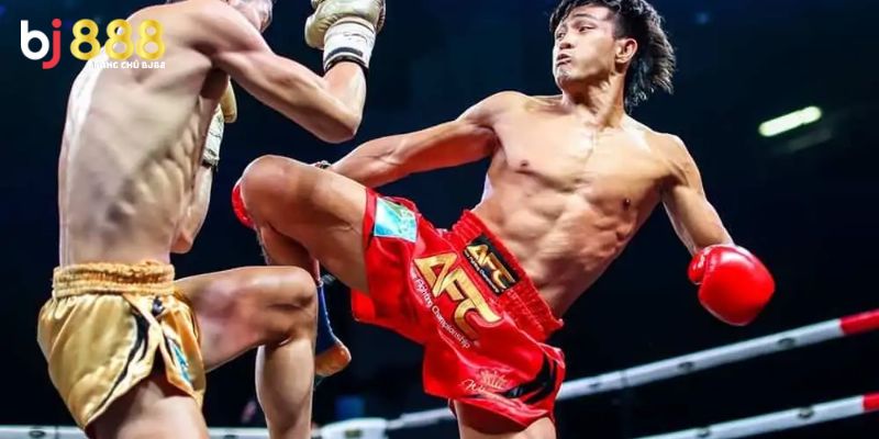 Cược Quyền Thái Bj888 Cực Kỳ Kịch Tính