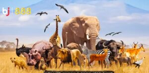 Birds And Animals Bj888