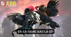 Đá Gà Hàng Xáo Là Gì