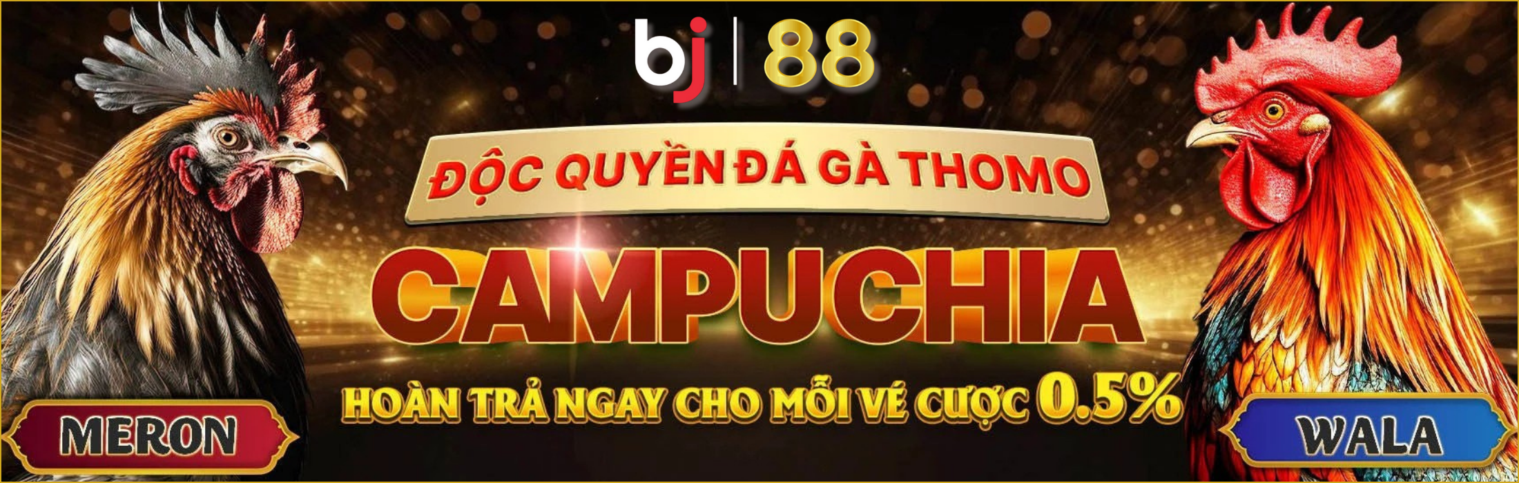 Banner Bj888