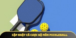 Cập Nhật Cá Cược Bộ Môn Pickleball Kiểu Chơi Độc Lạ 2026