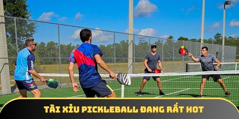 Tài Xỉu Pickleball Đang Rất Hot